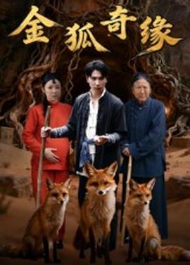 金狐奇缘(全集)